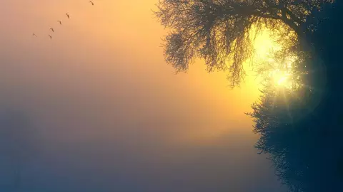 Efemérides del 21 de diciembre_ ¿Qué sucedió un día como hoy_.jpg