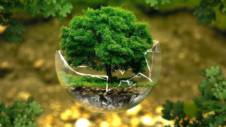 desastres climáticos evitado