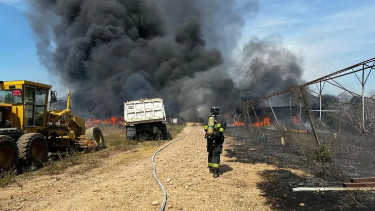 Incendio en secadora de mango en El Roble, Mazatlán