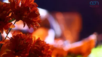  día de muertos 