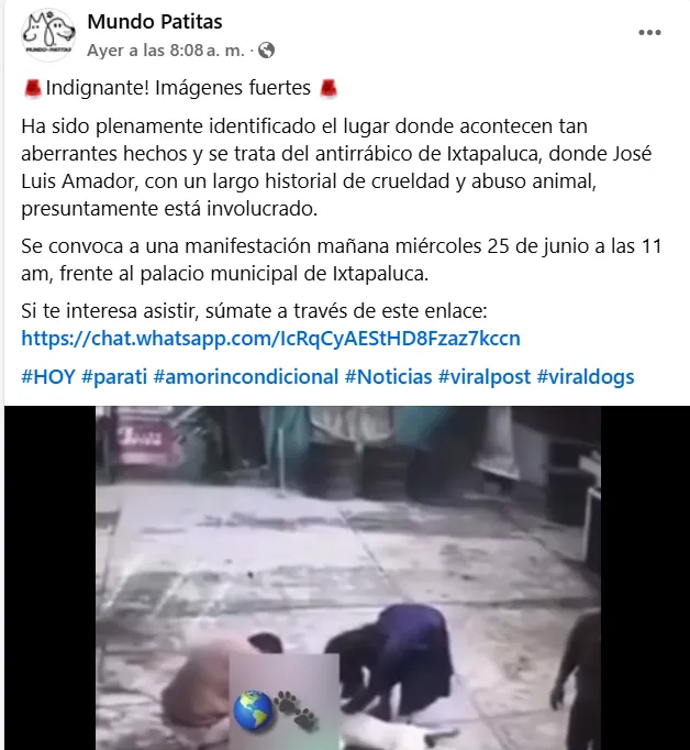 Captan maltrato animal en Ixtapaluca, Edomex
