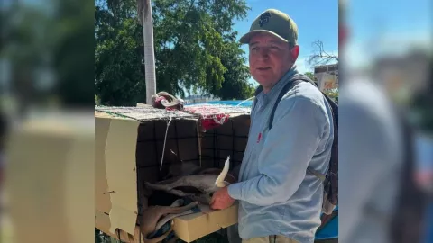 Señor lleva a sus perritas a esterilizar desde Ejido Tastes hasta Los Mochis