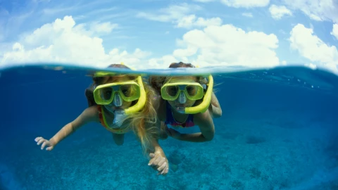 paraíso cristalino CDMX