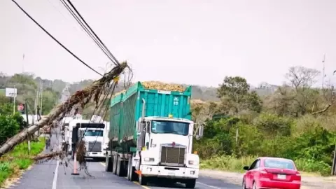 ¡Precaución! Caen cables de luz sobre carretera de Veracruz; hay afectación vial