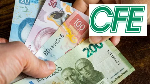 Trámite de devolución