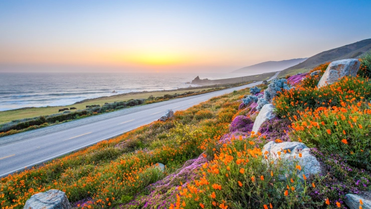 Un paisaje primaveral en California.