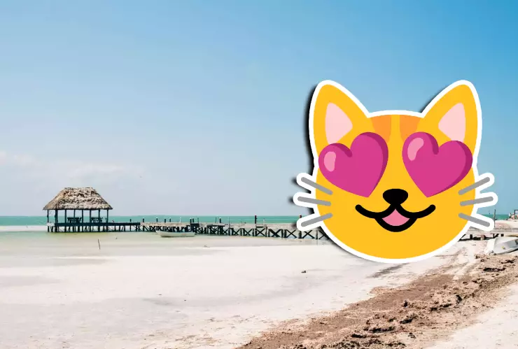 VIDEO_ ¡Amanecer fresco en el paraíso! Así lucen las playas de Holbox HOY 14 de noviembre de 2025.webp