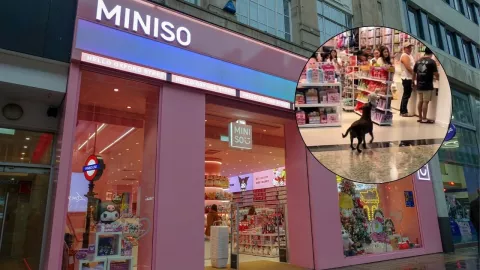 Perro miniso peluche.jpg