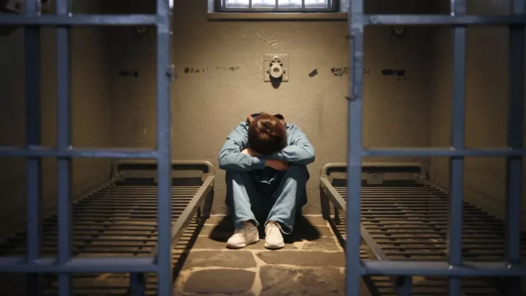 torito CDMX Navidad 2024.jpg