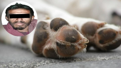 El hombre fue grabado cuando presuntamente maltrataba perros en Mexicaltzingo.