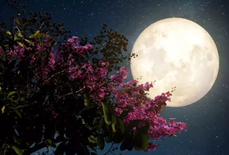 Así podrás ver la Luna de Flores en México durante mayo de 2025: Fecha y hora