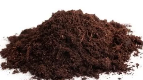 5 mejores tipos de tierra para tus plantas: ideales para el jard&iacute;n o macetas en el interior de la casa