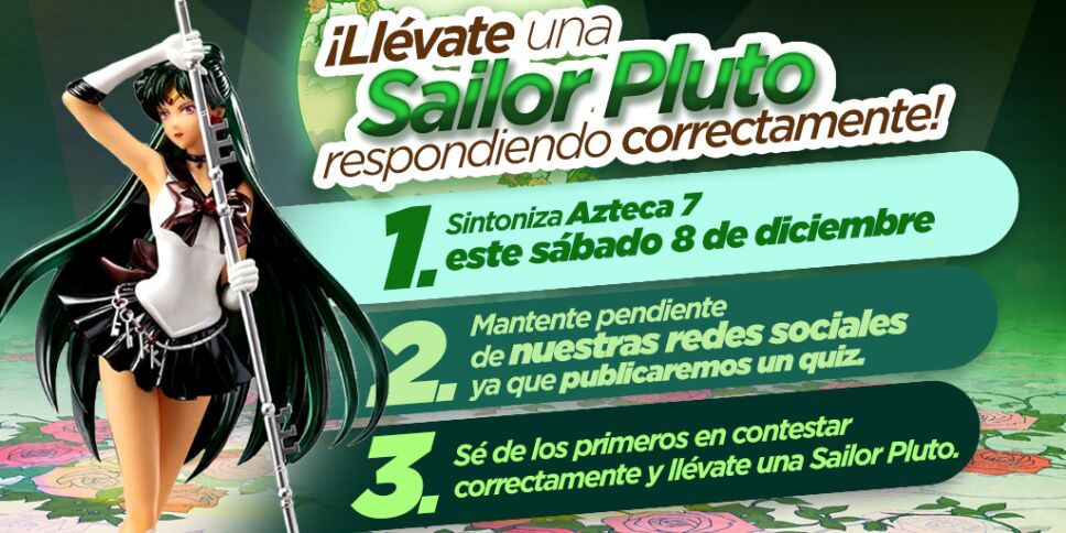 Bases dinámica Sailor Plut