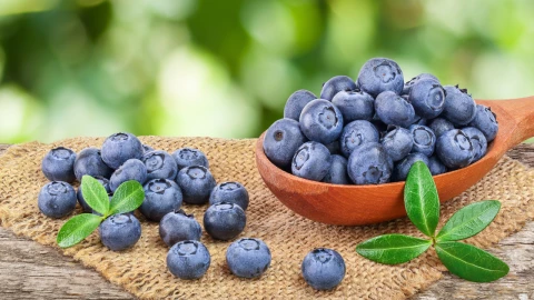 Las moras azules podrían ayudar a reducir riesgo de demencia en edad avanzada