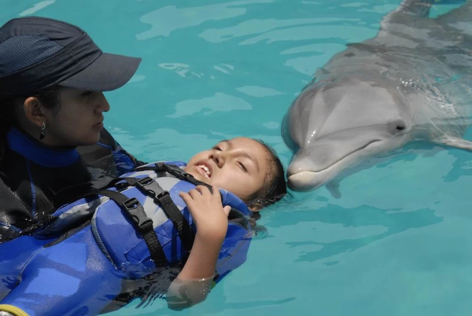 terapia con animales