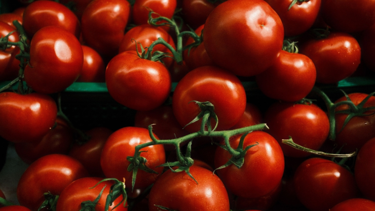 Costo del tomate hoy