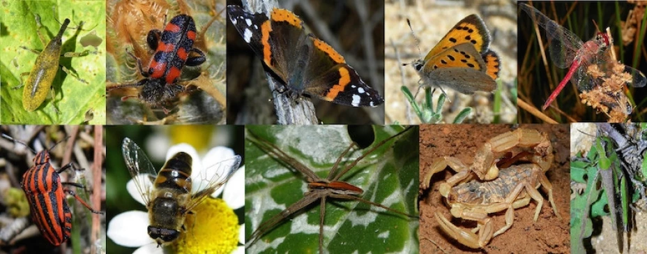 UNAM cambio climático