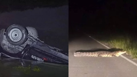 Patrulla de Chabihau VUELCA por culpa de un cocodrilo; así ocurrió el fuerte accidente