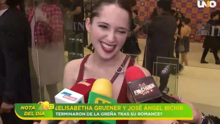 Elisabetha Gruener y José Ángel Bichir terminaron de la greña tras su romance.jpg