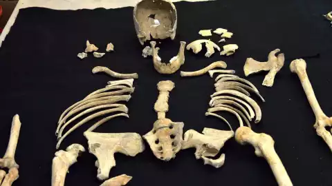 INAH recupera 17 entierros en la periferia del Panteón de San Fernando 2.jpeg