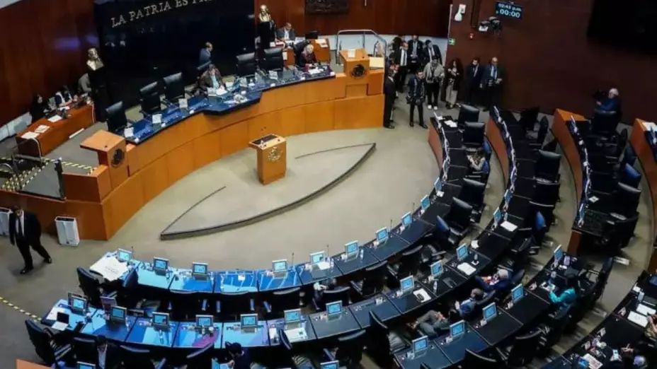El Senado discute distintas reformas.