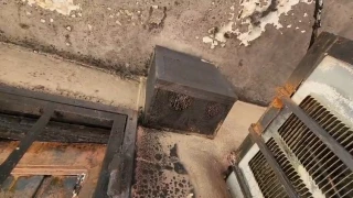 Vandalizan escuela en Bellavista, Culiacán