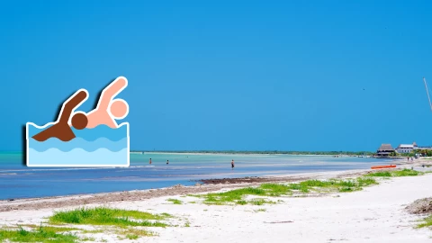 VIDEO_ Así lucen las playas de Holbox HOY domingo 11 de enero de 2026.webp