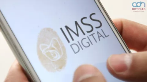 Descarga del Tarjetón Digital del IMSS