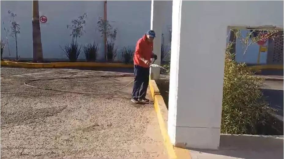 jmas