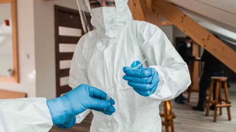 Alerta sanitaria: Qué se sabe sobre Nipah, el virus que la OMS vigila como posible pandemia 