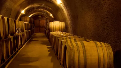 Fotografía de una bodega de vinos.