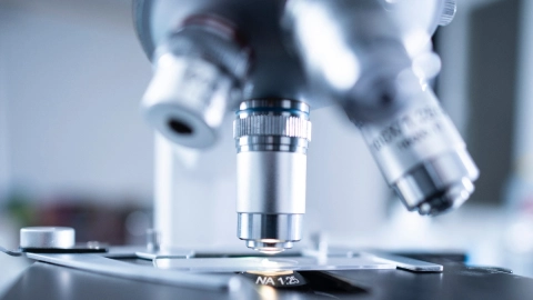 Covid-19 variante Sudáfrica