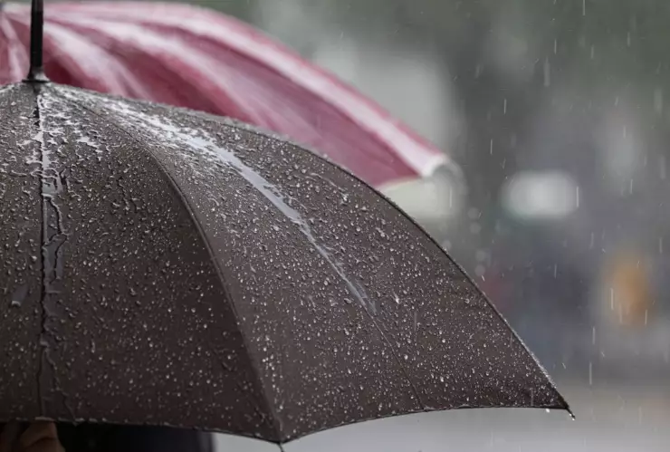 Clima hoy 11 de noviembre