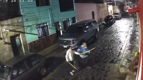 Qué se sabe de ‘Negrito’, el perro brutalmente atacado por una familia.