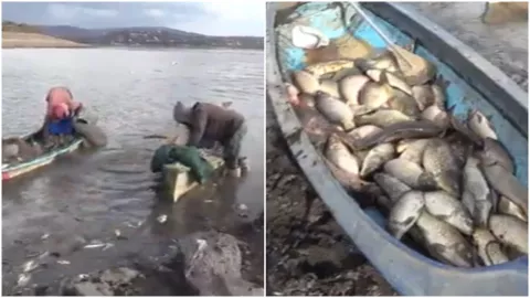 Pescadores son los más afectados por la muerte de peces en Hidalgo
