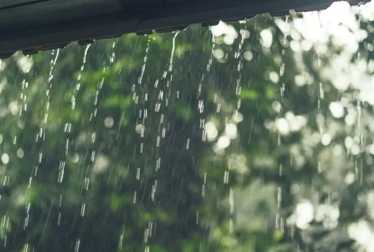 Primavera en Tijuana llega con lluvias y bajas temperaturas