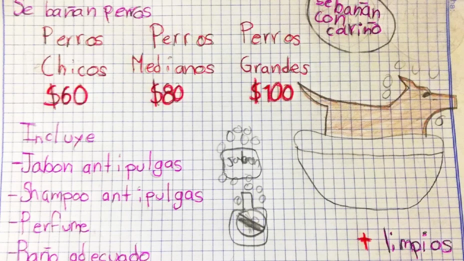 perros_niño.jpg
