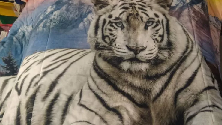 Bajas temperaturas históricas y frío extremo para el invierno 2023