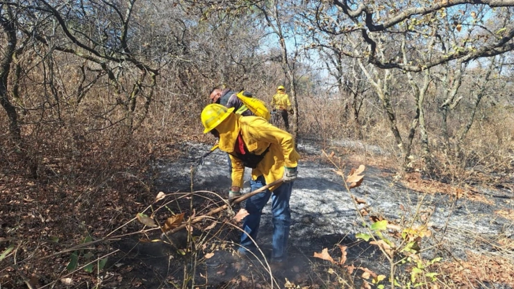 incendio haras flor del bosque puebla amozoc hoy