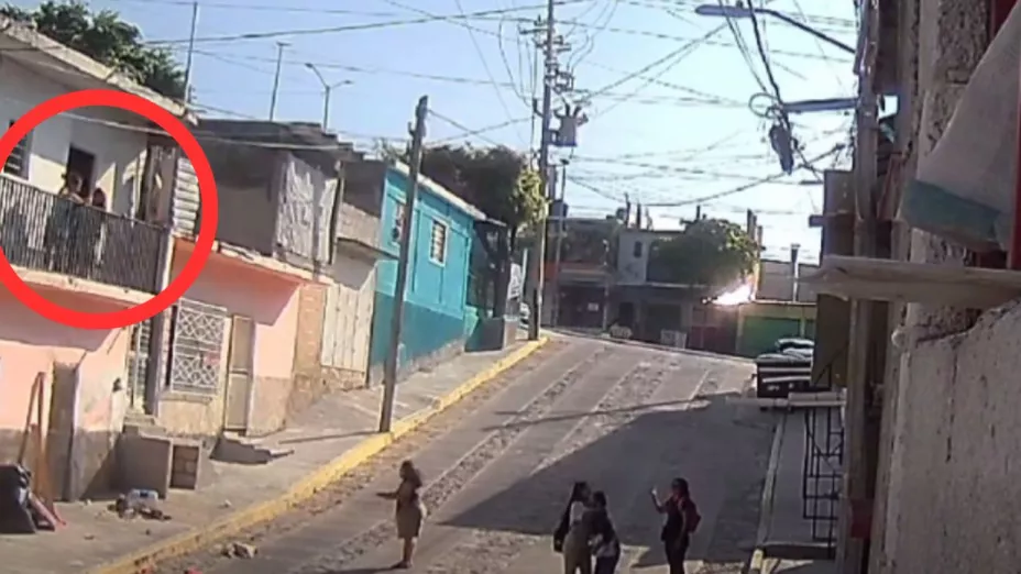 Caso de maltrato animal en Chiapas desata investigación oficial y atención veterinaria