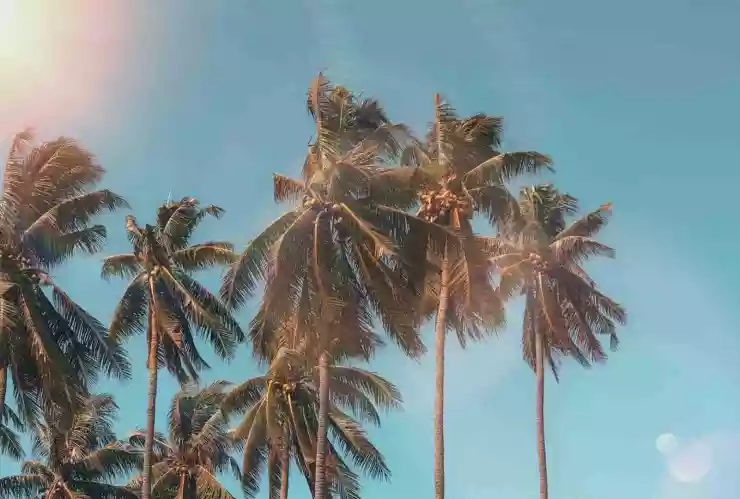 2020 año mas caluroso registrado onu.jpg