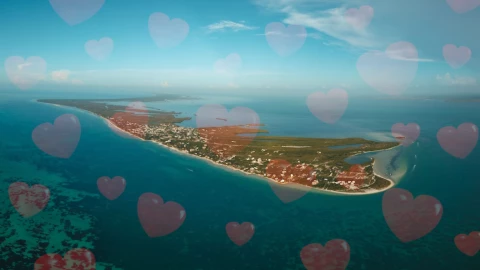 VIDEO_ ¡Paraíso natural! Así lucen las playas de Holbox HOY 14 de octubre de 2025.jpg