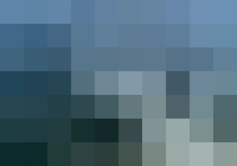 Septiembre es el mes con mayor número de ataques de tiburón