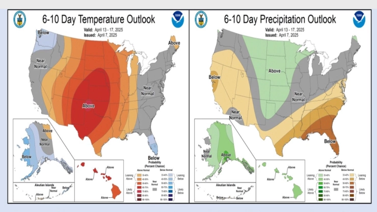 NWS suspende servicio de traducción