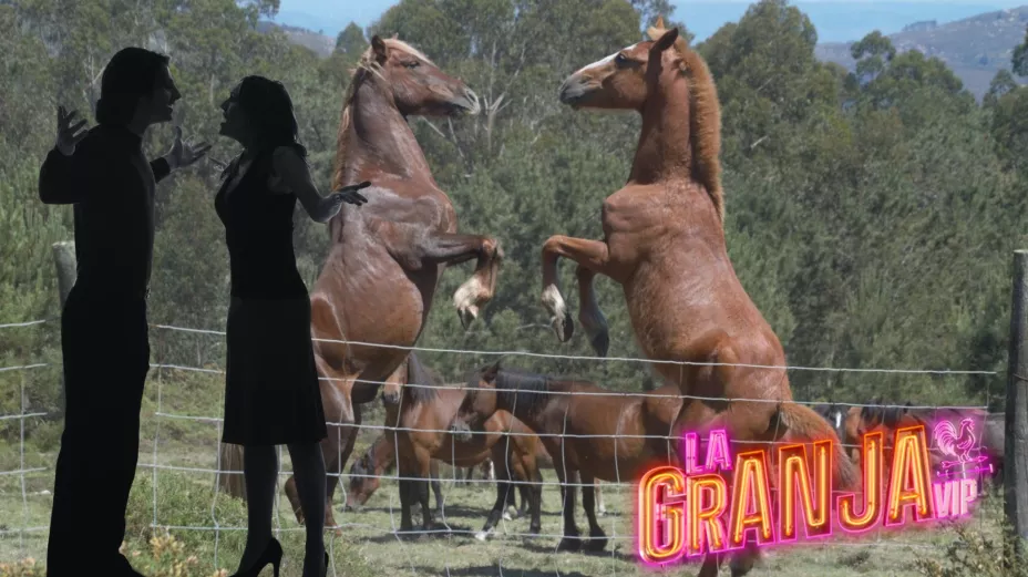 la-granja-vip-peleas-eliminados