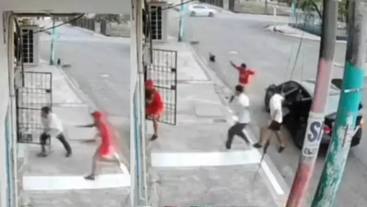 ¡Héroes! Perritos impiden secuestro de abuelito en la calle; así lo captaron