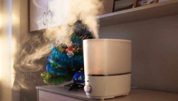 Un humidificador personal ayudará contra la gripa.