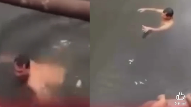 Video viral muestra a hombre desaparecer en el agua tras acercarse a un cocodrilo