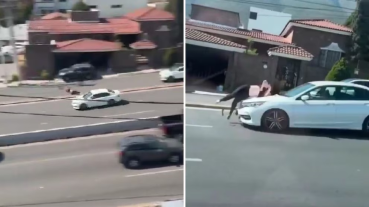 Joven es atropellada en Monterrey