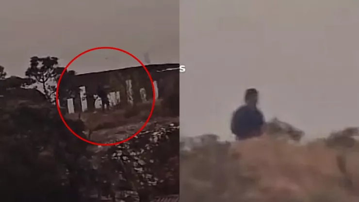 VIDEO captan a gigante en montañas de Brasil